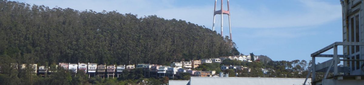 Forest Knolls at dusk