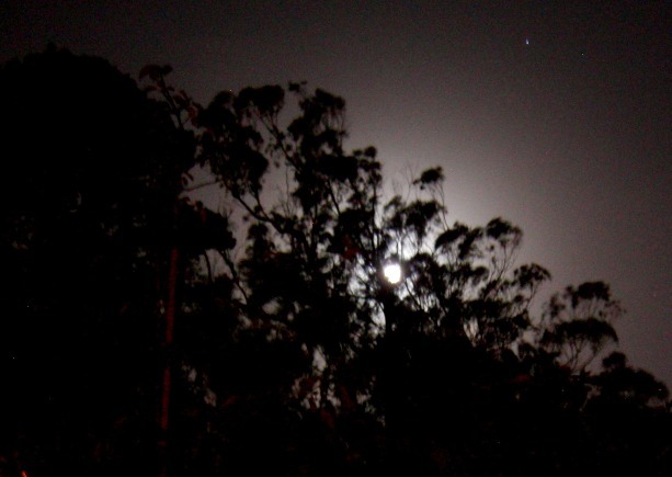 Forest Knolls moonrise