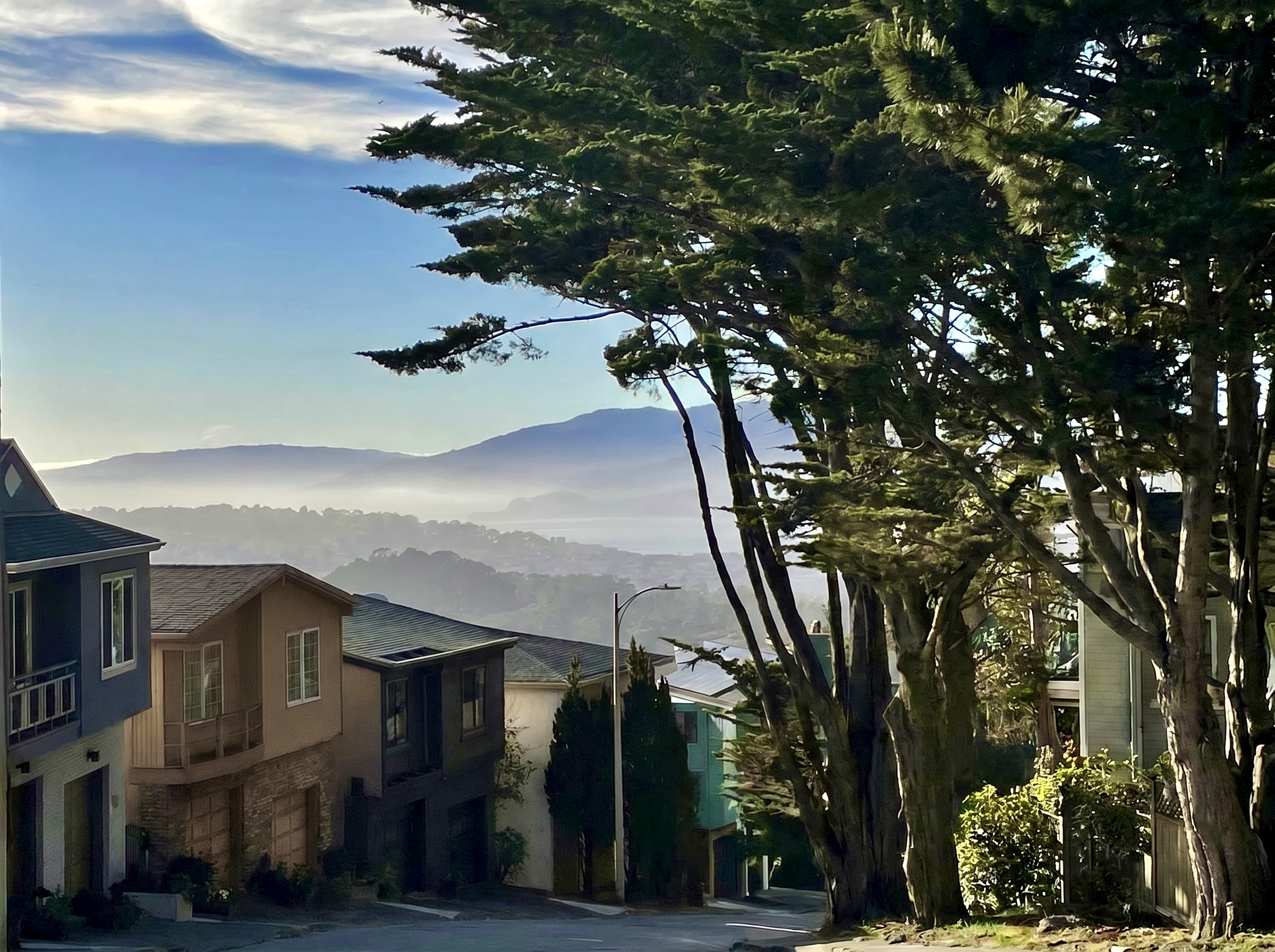 The view from Warren Drive overlooking the fog toward the Golden Gate Bridge